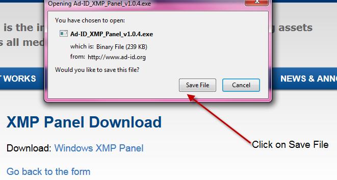 On the next screen, click on the XMP Panel