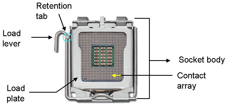 The LGA775 socket is shown in Figure 4-1. Figure 4-1: Intel LGA775 Socket WARNING: When handling the CPU, only hold it on the sides.