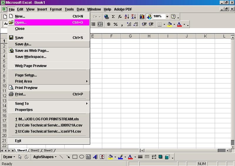 EXCEL SPREADSHEET Open your Excel program it should open with a blank spreadsheet; if not, click on the new spreadsheet icon in the upper left