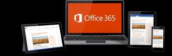 Office 365 What You