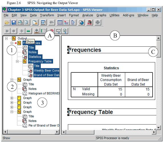 16 in Figure 2.6, the Frequency Analysis (1) is selected and the first part of the frequency analysis (labeled Statistics) is presented in the Output Display field.