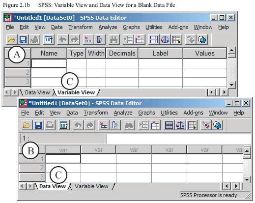 2 Data Editor The first step in any data analysis process is to set up the data file in the Data Editor (note: you can create variables and enter data in the syntax editor, but it is beyond the scope