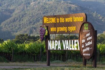 Why Make Mountain Wines in the Napa Area? "Mountain wines are bigger, with more alcohol, more tannin. Valley floor wines are softer and a little rounder, more feminine.
