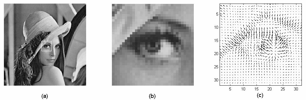 Image Origin Fig. 1. a) An 8-bit gra-scale image, I,, b) a cropped and enlarged subimage, and c) its gradient vectors, I, I ).