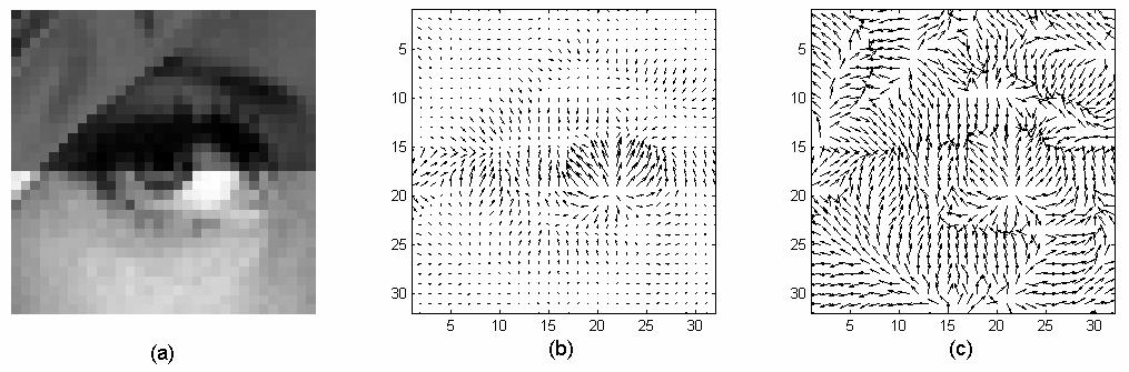 a) Unit gradient vectors n, n ), b) a gradient orientation pattern of n, and c) a gradient orientation pattern of n.. Intensit-invariance of Gradient Orientation Fig.
