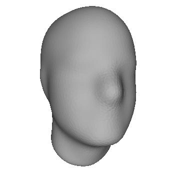 Figure 1. Initial face mesh Figure 2.