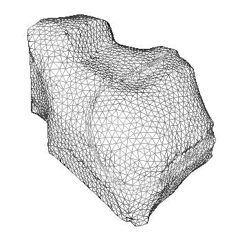 Figure 4. Face mesh after 10000 iterations Figure 5.