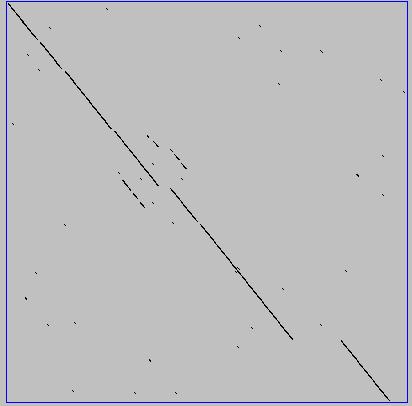 Ungapped alignments Only diagonals can be followed.
