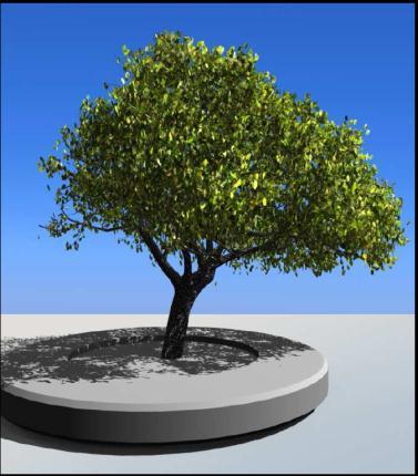 , Image-based Tree