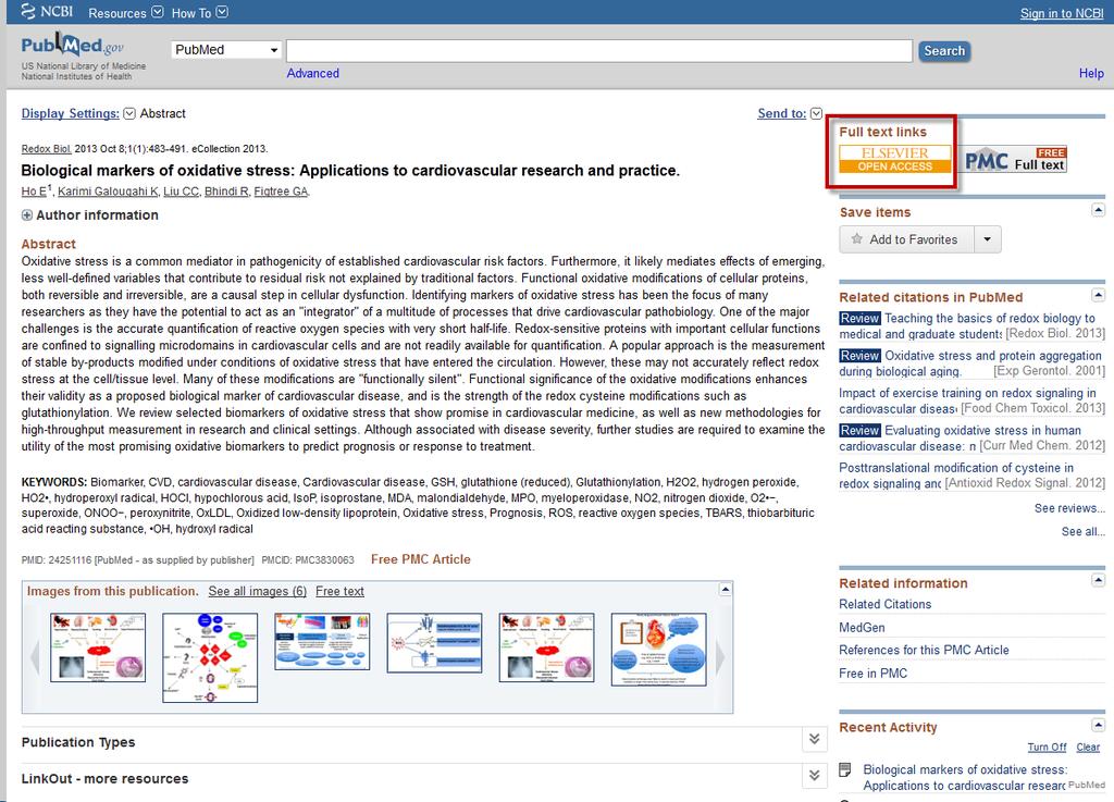 18 18 PubMed now displays full text on