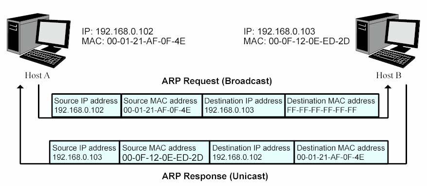 12.1.3 ARP Scanning ARP (Address Resolution Protocol) is used to analyze and map IP addresses to the corresponding MAC addresses so that packets can be delivered to their destinations correctly.