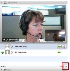 Chapter 19: Sending and Receiving Video Setting webcam options If you have a working webcam, you can set options that are available for that webcam directly from your meeting.