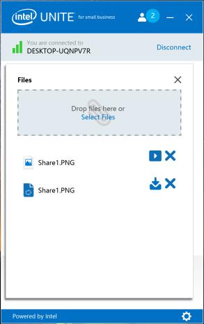 In the file list, click on the download button next to the file you want to download. Files will be placed in the Received Files folder on your desktop.