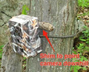 Camera set too high 2. Camera set too low 4. DON T point the camera into another tree, vegetation, large logs, or boulders that will block the movement sensor.