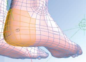 2.- Select all the polygons of the critical area (usually the heel +