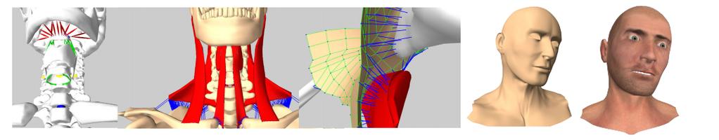 Emulating physical behavior to the model => realistic actuation of rigid bodies.