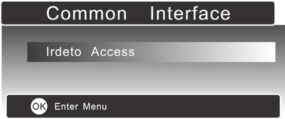 Do not repeatedly insert or remove the Common Access Module as this may damage the interface and cause a malfunction.