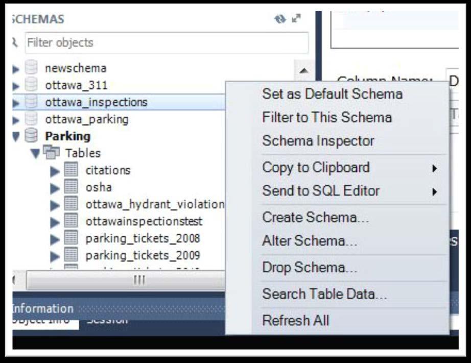 9. Under the SCHEMAS section on the left 10. Select Create Schema, which is really a database that contains a collection of tables.