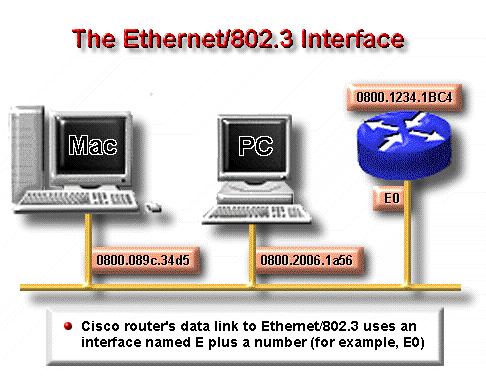 The Ethernet and 802.3 data links prepare data for transport across the physical link that joins two devices.
