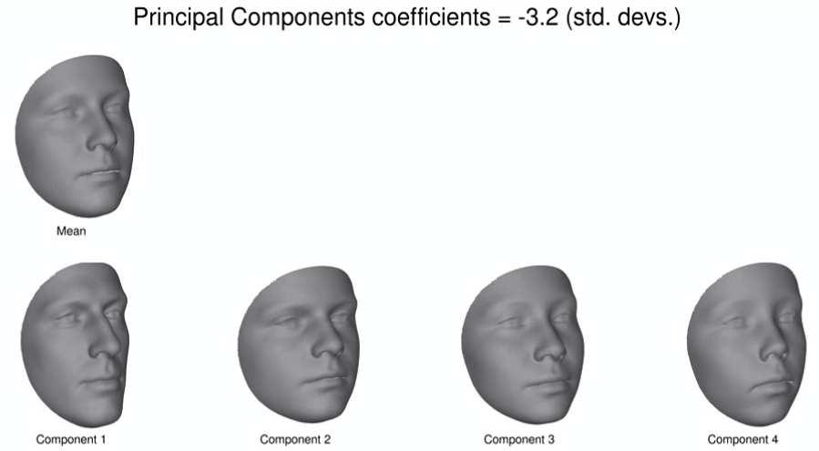 Constructing Detailed 3D Face Models: Identity Variation Update: (Booth, Roussos, Ponniah, Dunaway, Zafeiriou, Large scale 3D Morphable Models, IJCV, under minor
