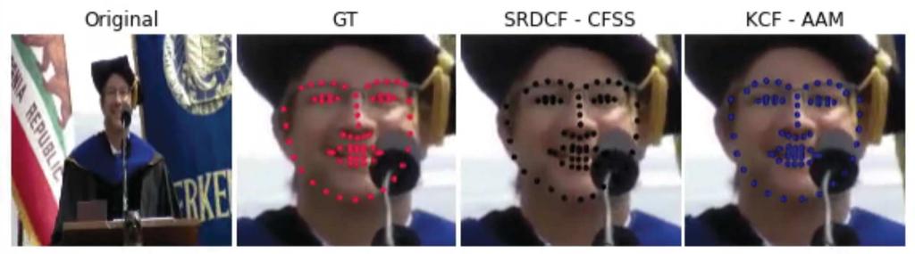 3DMM Fitting on In-The-Wild Videos Robust facial landmark