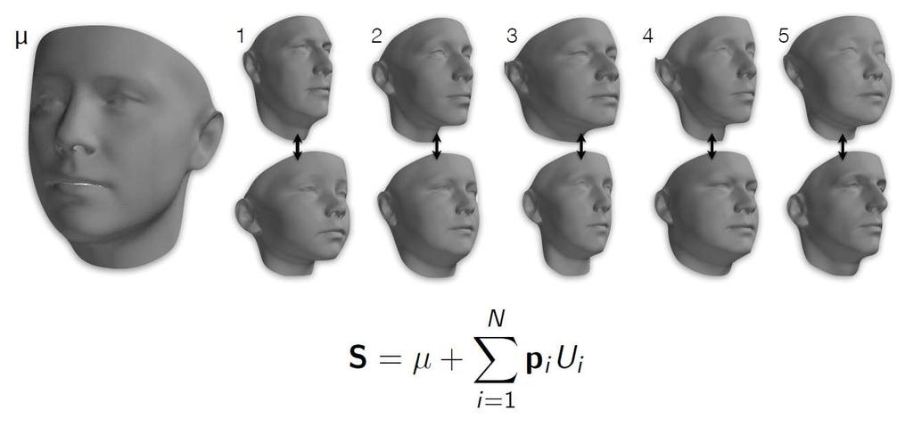 Comparing Facial Morphology Representations