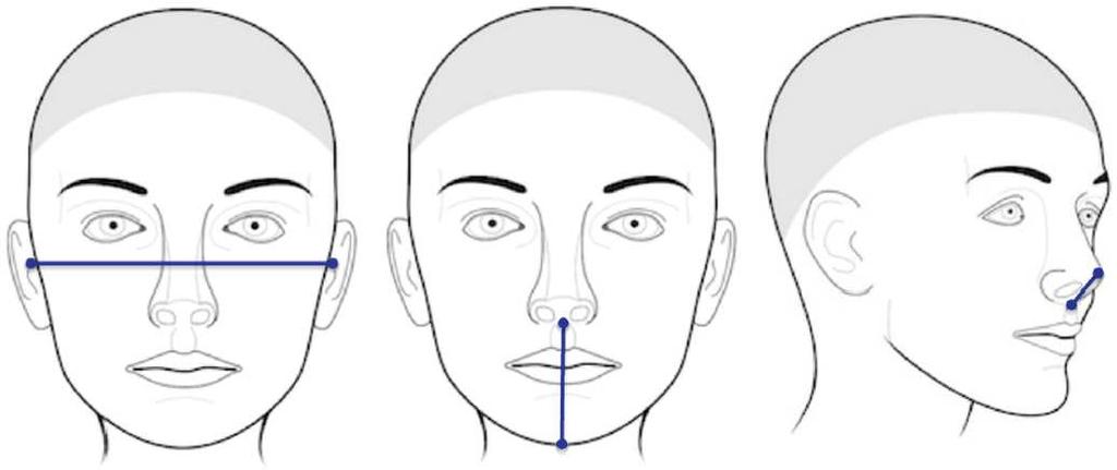 modelling sparse anthropometry Ideally: different