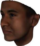 Conclusions Dense 3D face modelling with unprecedented quality large-scale datasets are