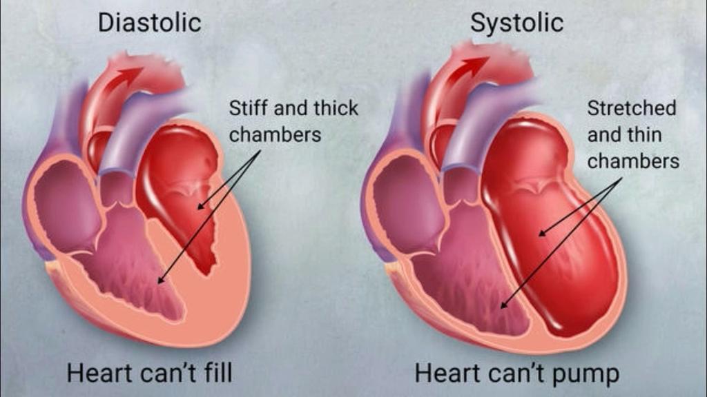What is the difference between a healthy heart and a sick heart?