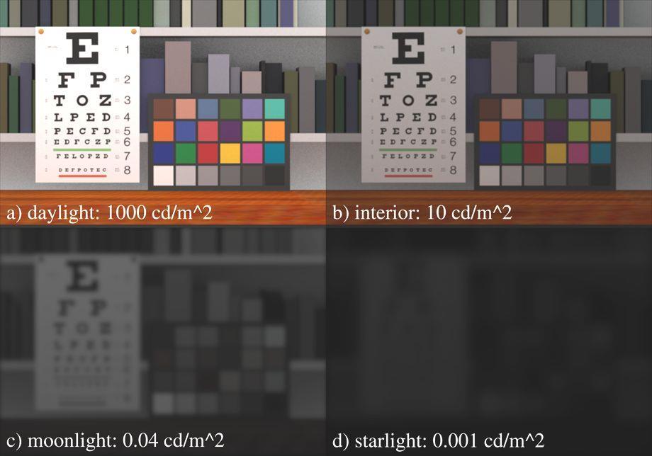Visual Acuity and Color Perception Mesopic/photopic transition