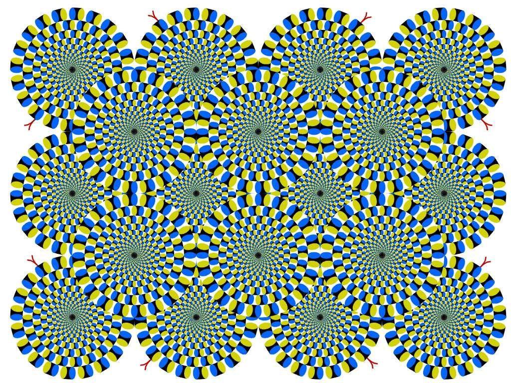 Motion Illusion Appearance of movement in static image Due to cognitive effects of