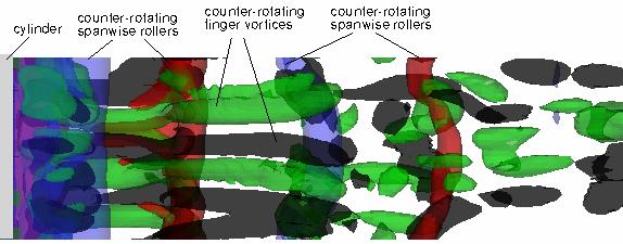 The dominating structures in the braid region are ribs of streamwise vorticity, which are the legs of vortex loops than span the gap between successive rolls, as in figure 5.35.