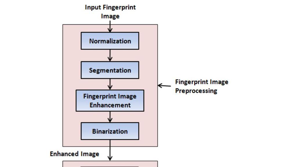 3. PROPOSED SYSTEM In real world environment, for fingerprint identification it is not always possible to provide idle quality fingerprint image and also it not possible to provide homogeneous