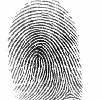 3.7. Matching Let T and I be the representation of the template and input fingerprint, respectively.