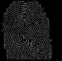At first we have enrolled 440 fingerprint images in database, and then to calculate FRR of the proposed system we have tested the system by giving 440 input fingerprint images for identification.
