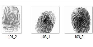 B. Pre-processing Stage The second stage of fingerprint authentication system is pre-processing which is the process of removing unwanted data s such as noise, reflections from the fingerprint image.