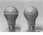 Recovered shape with one scanline for a textured light bulb: input biprism image and recovered shape.