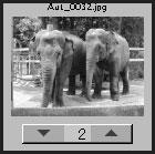 Advanced Printing (2) Click [ ] on the thumbnail of the photograph you want to print and specify the number of copies.