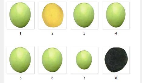 Fig. 5 Samples of fruit from Database This part represent the graphical user interface after selecting the testing sample as shown in fig.