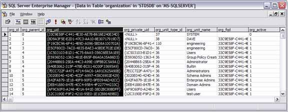 Figure 114: Example Organization Table ORG_REP: