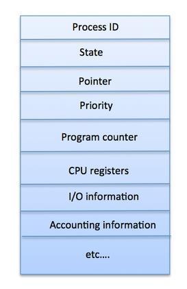 This includes a list of I/O devices allocated to the process.