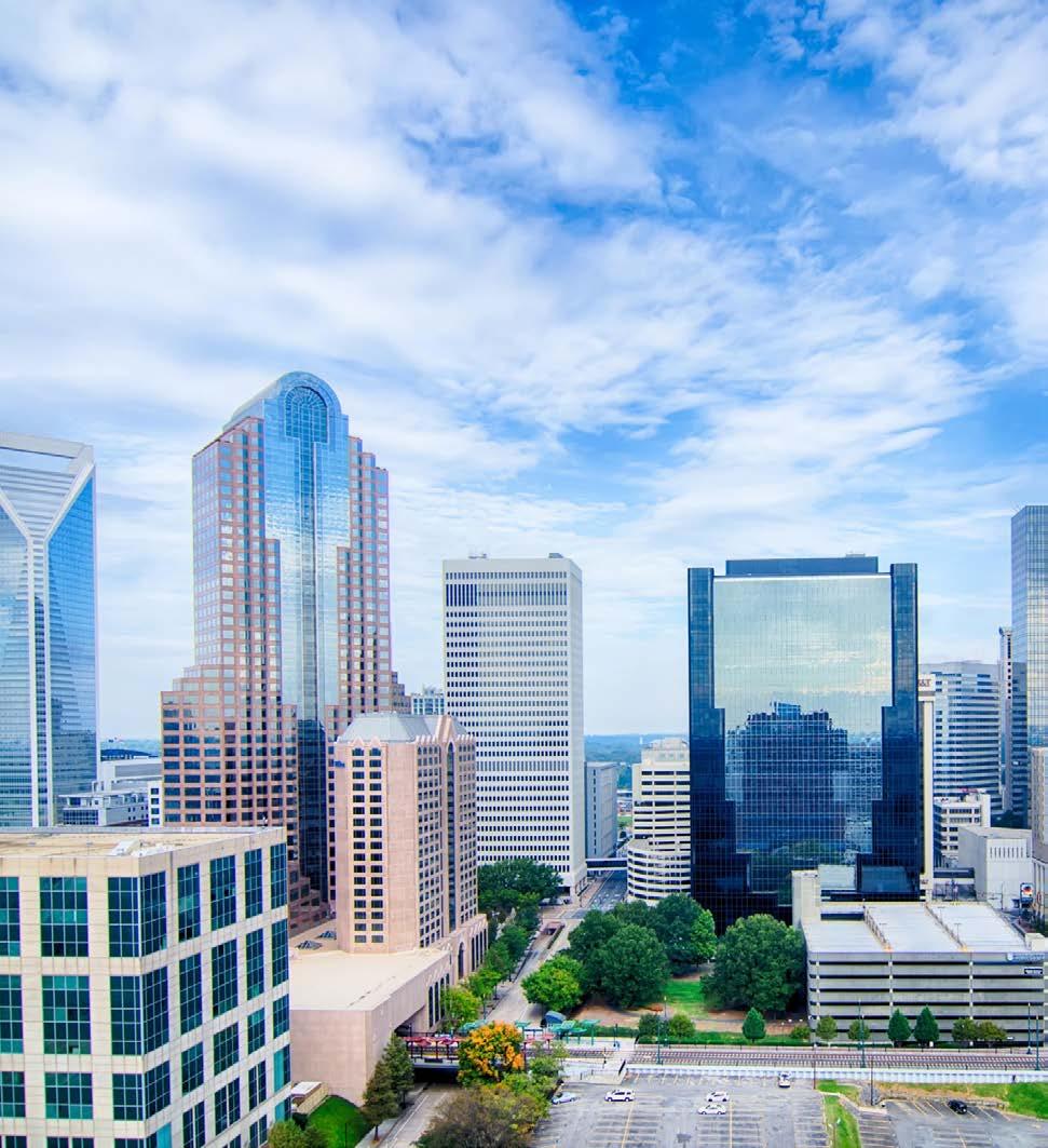 Headquartered in Charlotte, NC Founded in 1989 OUR COMPANY Microsoft Gold Certified Partner 97% Client Retention Rate InterDyn Artis specializes in the implementation, service and
