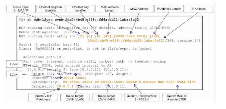 IPv6 address handling in the VXLAN BGP EVPN fabric The semantics for IPv4 and IPv6 addressing in the overlay are conceptually the same, with differences that ARP and Neighbor Discovery (ND) have.