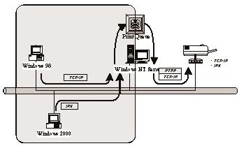 5.2 User Installation and Setup CHAPTER 5: Windows NT/Windows 2000 Network Figure 5-3 shows Windows users connected to a shared printer. The printing path is highlighted in gray. Figure 5-3. Client users accessing the shared printer.