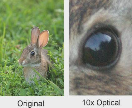 Optical Digital Zoom Most cameras have both Optical zoom 1.