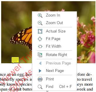 Using Right-click contextual menu Right-click on the Document Pane (any location on a page of your PDF document) to show the right-click contextual menu, choose the Zoom In or Zoom Out options to