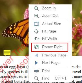 Right-click on the Document Pane to show the right-click contextual menu, choose Rotate Right option to rotate the pages.