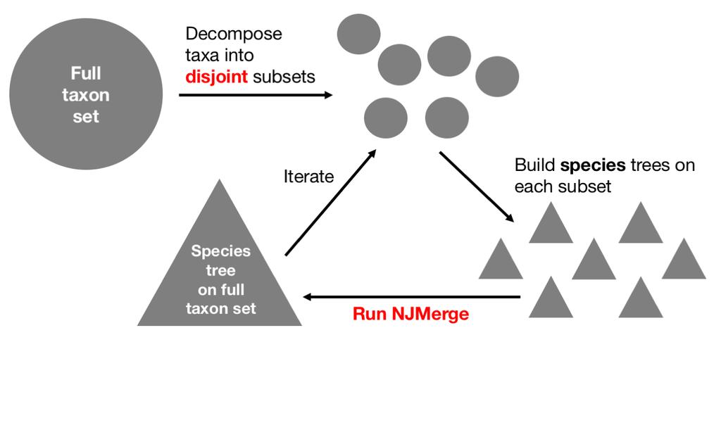 Using NJMerge in species tree