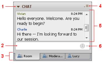 The Chat Panel The chat panel enables you to exchange text messages with others in the session.