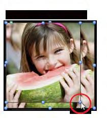 Drag any of the blue handles that appear around the edge of a picture box to adjust the size of the box.